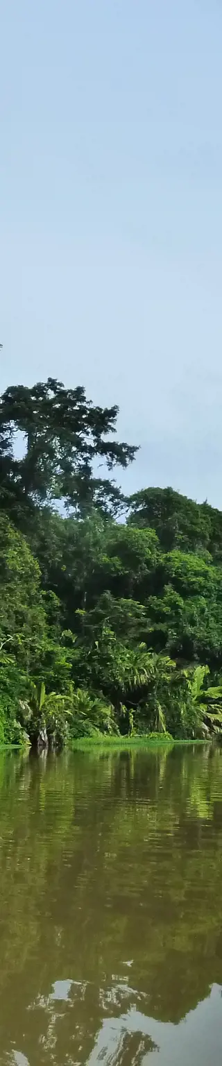 Mit dem Kajak durch den Tortuguero Nationalpark